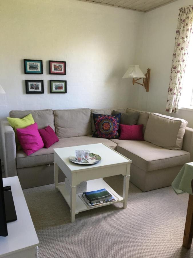 Apartament Birkevej 9, Ry Ry Zewnętrze zdjęcie